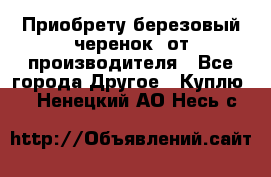 Приобрету березовый черенок  от производителя - Все города Другое » Куплю   . Ненецкий АО,Несь с.